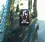 Jeepwave Sample5